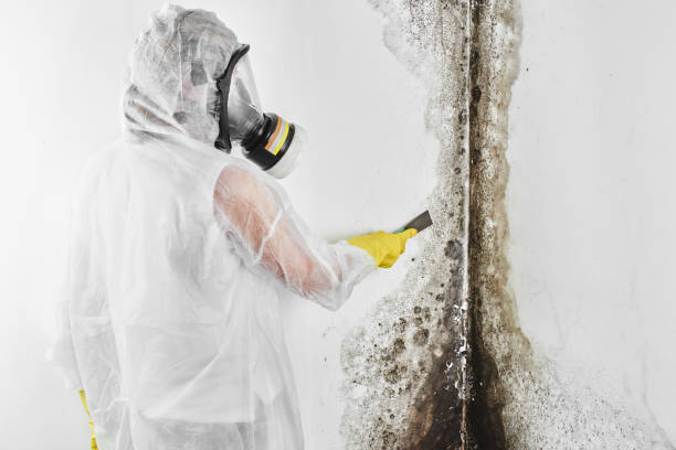 Best Certified Mold Removal  in Byram Center, NJ