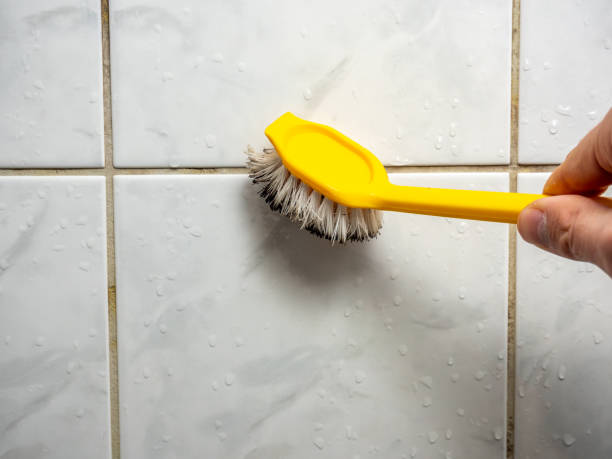 Best Black Mold Removal  in Byram Center, NJ