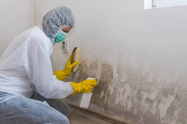 Best Certified Mold Removal  in Byram Center, NJ