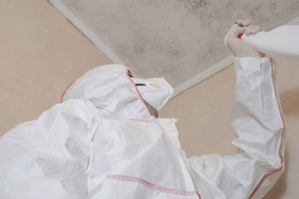 Best Mold Removal Company Near Me  in Byram Center, NJ