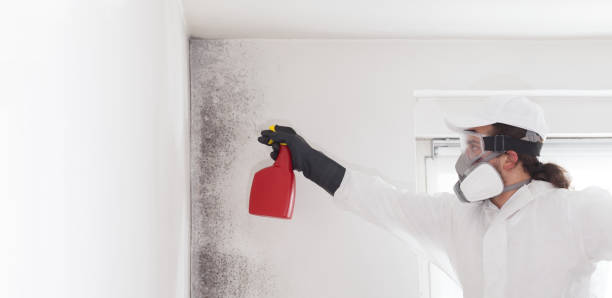 Best Emergency Mold Removal  in Byram Center, NJ