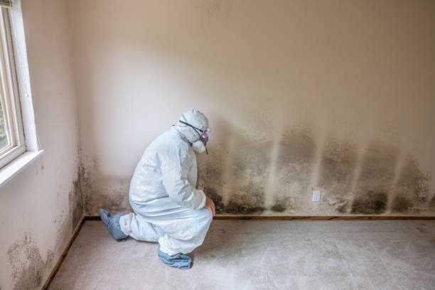 Best Crawl Space Mold Removal  in Byram Center, NJ