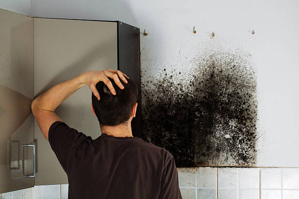 Best Toxic Mold Removal  in Byram Center, NJ
