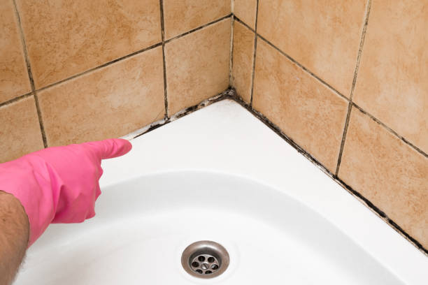 Best Mold Remediation Experts  in Byram Center, NJ